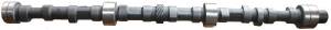 CAMSHAFT -235ci, 261ci, NEW (FOR SOLID LIFTERS) Photo Main