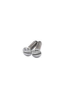 Rocker Moulding Screws (Stainless Steel) 2 pieces Photo Main