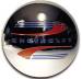 HUB CAP, 41-48 PASSENGER & 41-46 COMMERCIAL (STAINLESS)