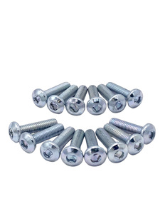 Screw Set - Back Glass Frame (Clutch Head) Photo Main