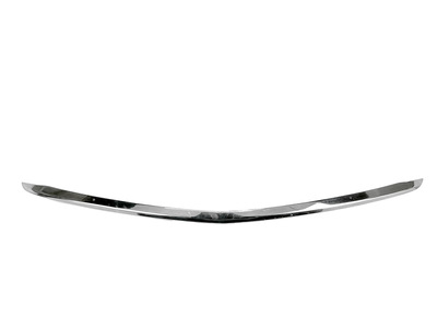 Car Grille lower Bar, Chrome. Photo Main