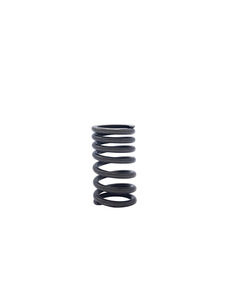 Chevrolet Valve Springs Photo Main