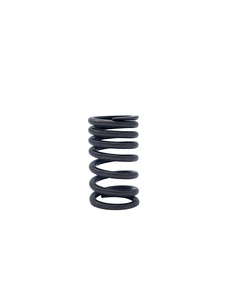 Chevrolet Valve Springs Photo Main
