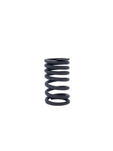 Valve Springs Photo Main