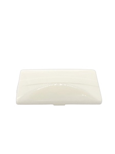Chevrolet Car Dome Light Lens -Rectangular Photo Main