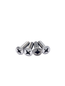 Door Latch Striker Screws -(Stainless Steel)  Photo Main