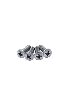 Chevrolet Car Screws - Park Light Rim (Stainless) Photo Main