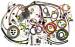 Chevrolet Parts -  Chevrolet Wiring Harness - Street Rod, Truck Specific Chevy and GMC