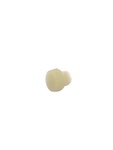 Chevrolet Parts -  Clock Knob (Ivory)