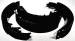 Chevrolet Parts -  Chevrolet Brake Shoes -Front, Passenger and 1/2 Ton. Does 2 Front Wheels
