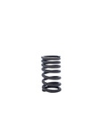 Chevrolet Parts -  Valve Springs