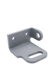 Chevrolet Parts -  Chevrolet Truck Tailgate Chain-Bracket (Left)