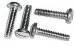 Chevrolet Parts -  Chevrolet Car Screws - Park/ Tail Light Rim (Stainless Steel)