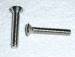 Chevrolet Parts -  Chevrolet Park Light Rim Screws -(Stainless Steel)