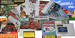 Chevrolet Parts -  Chevrolet Sales Brochure - Trucks (Specify Year)